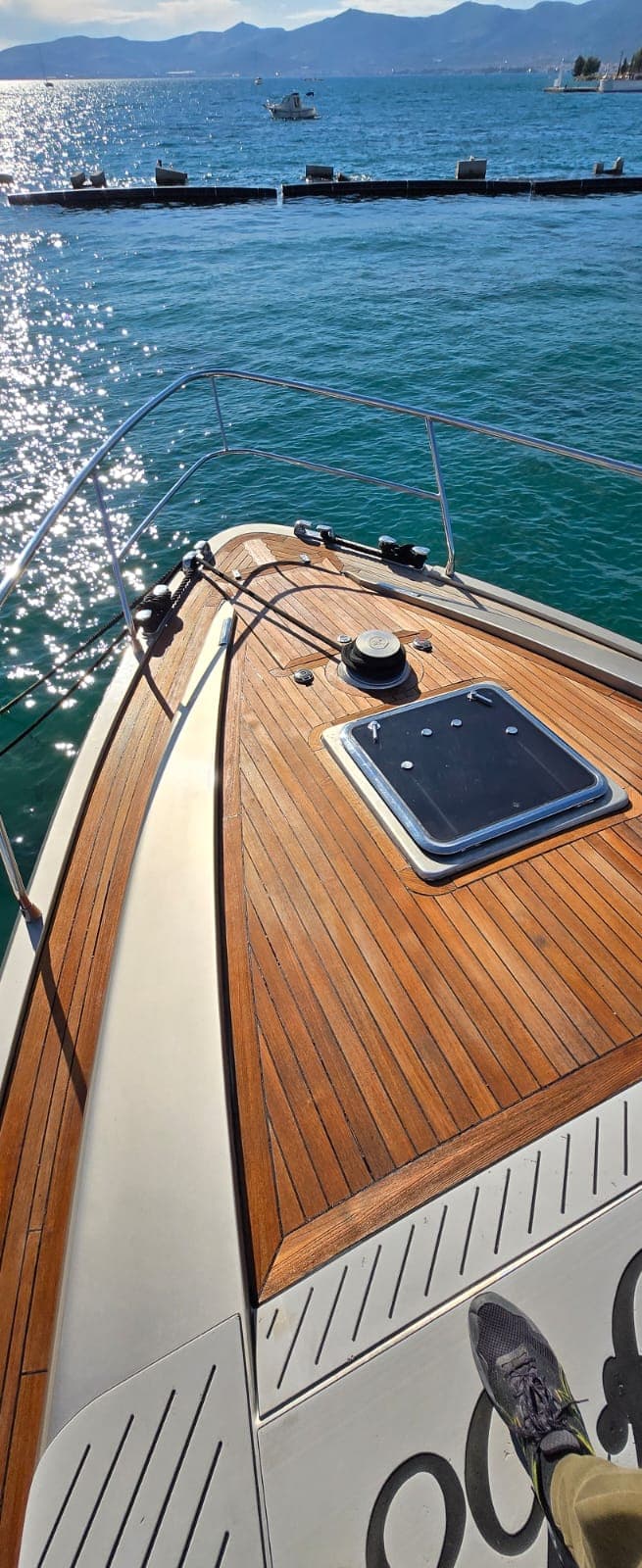 2008 Rina F68 — photo 3