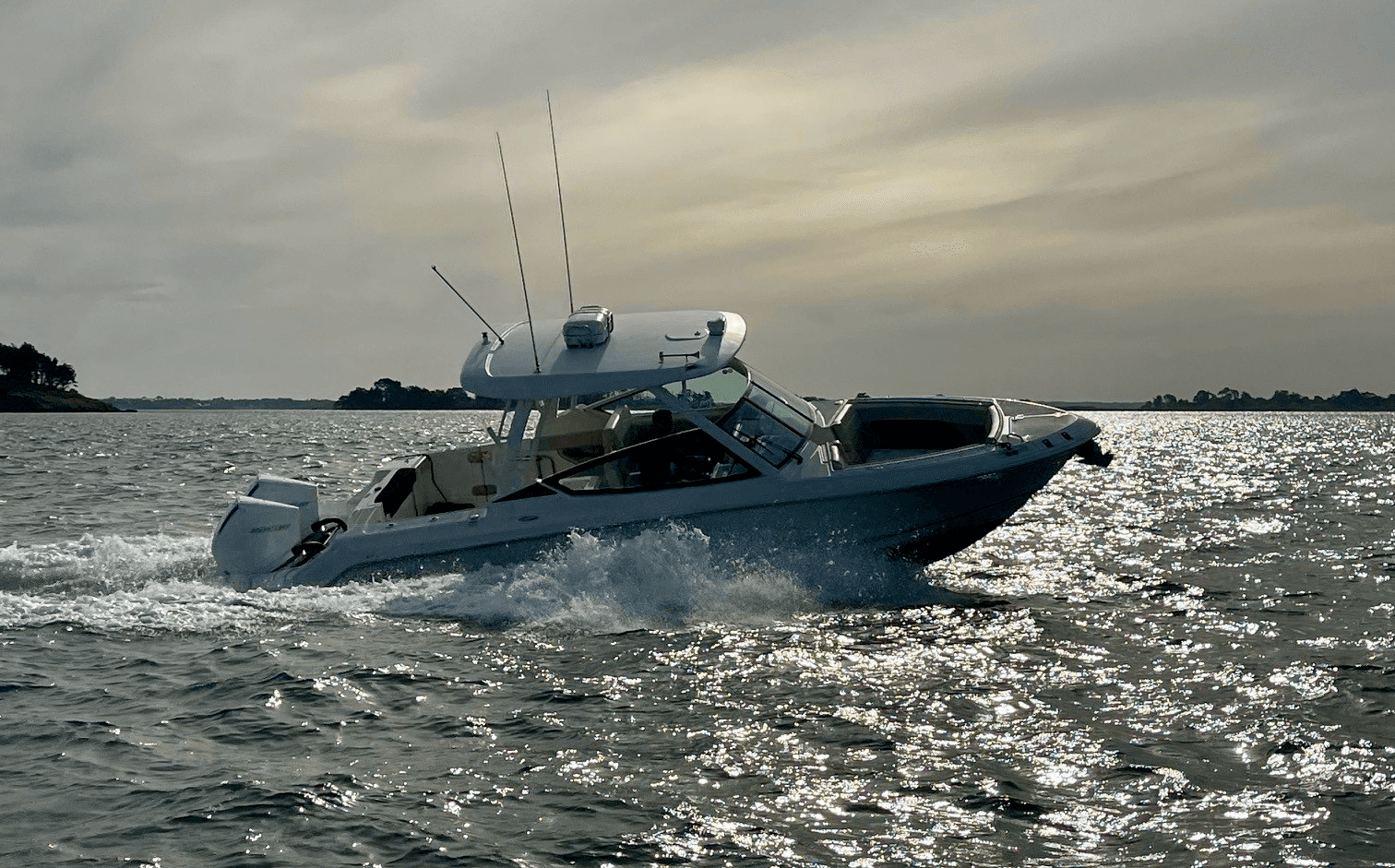 2021 Boston Whaler Vantage 280